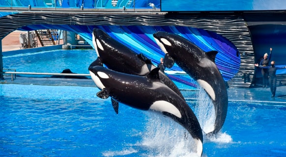 Get to know our beaches